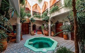 Abelia Riad-2025 Guest Choice Award